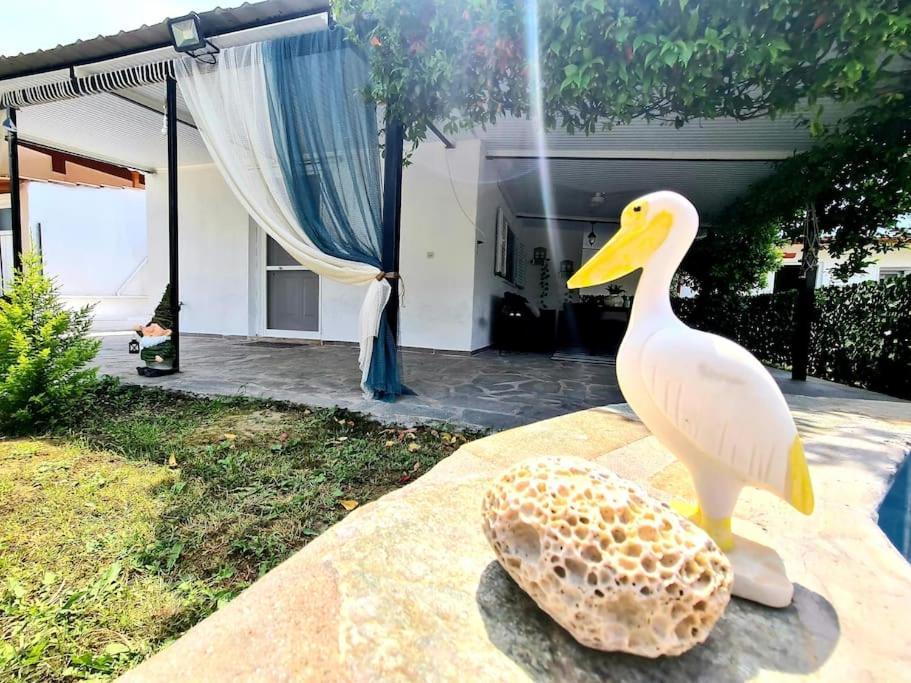 Mom'S Seaside Home Karianí المظهر الخارجي الصورة