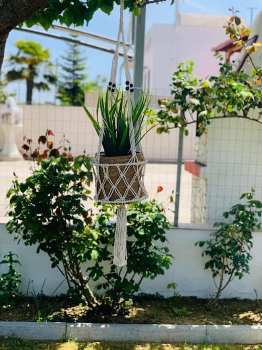 Mom'S Seaside Home Karianí المظهر الخارجي الصورة