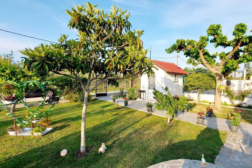 Mom'S Seaside Home Karianí المظهر الخارجي الصورة